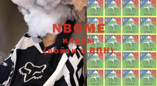 шишки Алексин