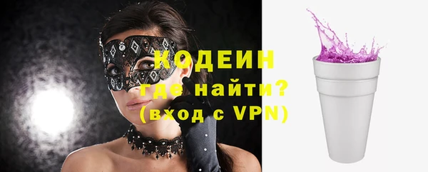 шишки Алексин