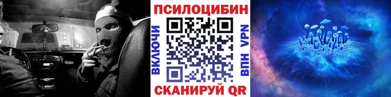kraken вход  Киселёвск  Галлюциногенные грибы GOLDEN TEACHER 